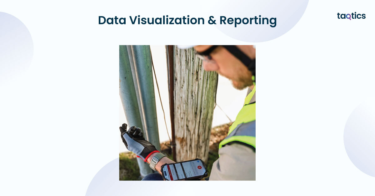 Data Visualization & Reporting