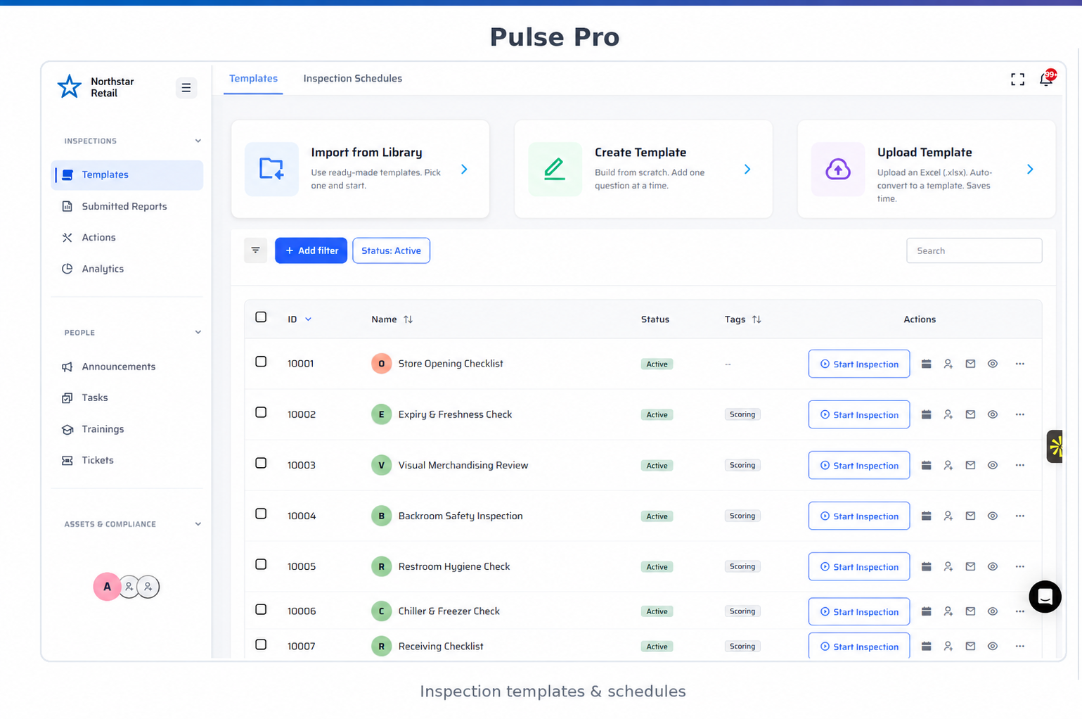 Pulse Pro daily execution interface